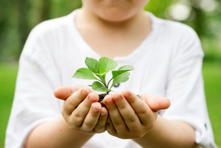 boy holding soil plant