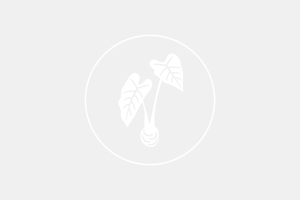Obenauf Law Group Estate Planning Attorney Placeholder Featured Post